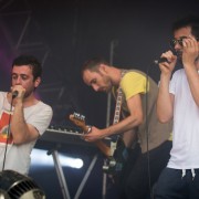 Franz Ferdinand &#8211; Festival des Vieilles Charrues 2014