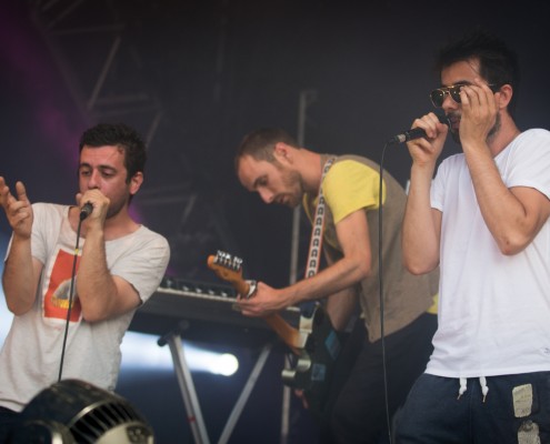 Odezenne &#8211; Festival des Vieilles Charrues 2014