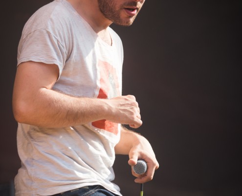 Odezenne &#8211; Festival des Vieilles Charrues 2014