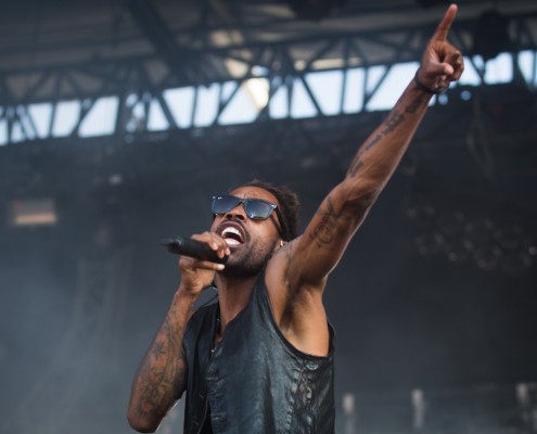 Skip the use &#8211; Festival des Vieilles Charrues 2014