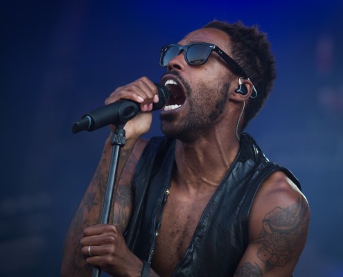 Skip the use &#8211; Festival des Vieilles Charrues 2014