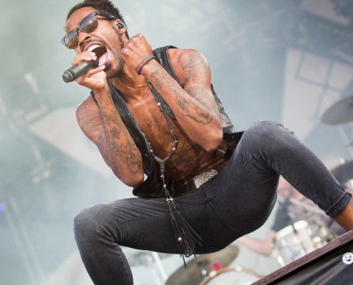 Skip the use &#8211; Festival des Vieilles Charrues 2014