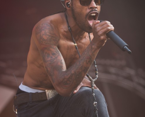 Skip the use &#8211; Festival des Vieilles Charrues 2014