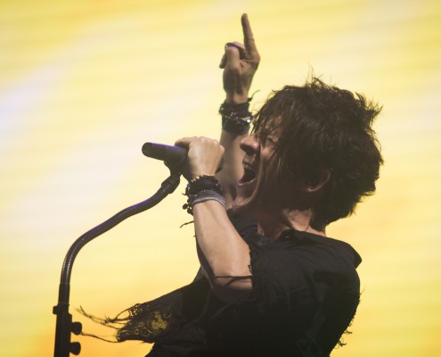 Indochine &#8211; Festival des Vieilles Charrues 2014