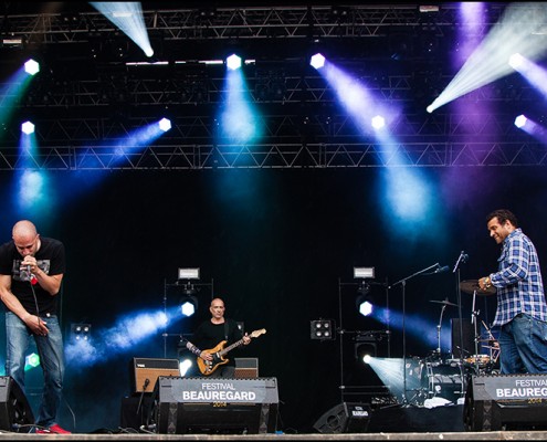 Zone Libre Extended – Festival Beauregard 2014