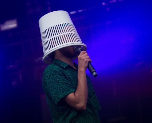 Salut c&#8217;est cool &#8211; Festival des Vieilles Charrues 2015