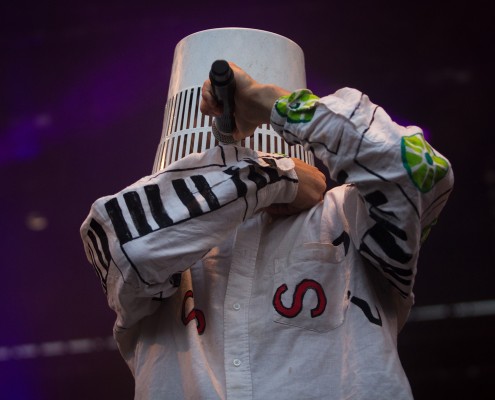 Salut c&#8217;est cool &#8211; Festival des Vieilles Charrues 2015