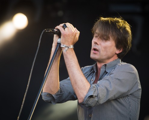 Suede &#8211; Festival des Vieilles Charrues 2016