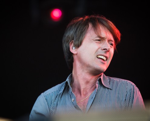 Suede &#8211; Festival des Vieilles Charrues 2016