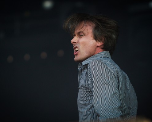 Suede &#8211; Festival des Vieilles Charrues 2016