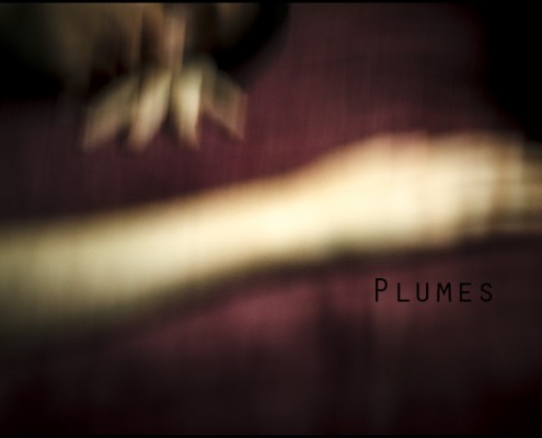 Plumes &#8211; Portraits (Paris)