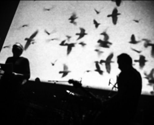 Oiseaux Tempête &#8211; Pzzle Festival