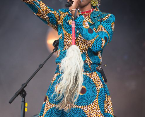 Lamomali de M &#8211; Festival des Vieilles Charrues 2017