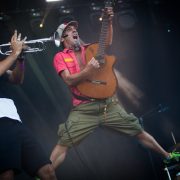 Robert le magnifique &#8211; Festival des Vieilles Charrues 2017