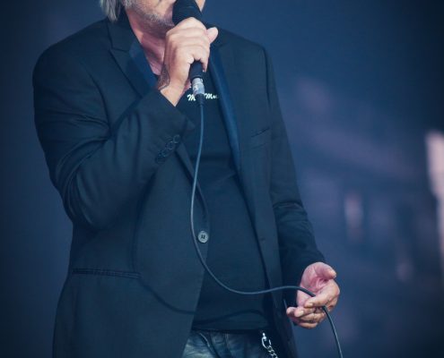 Renaud &#8211; Festival des Vieilles Charrues 2017