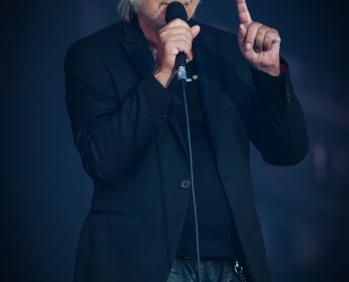 Renaud &#8211; Festival des Vieilles Charrues 2017