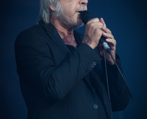 Renaud &#8211; Festival des Vieilles Charrues 2017