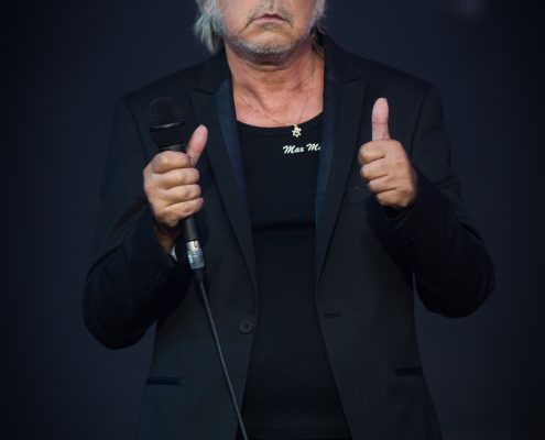 Renaud &#8211; Festival des Vieilles Charrues 2017