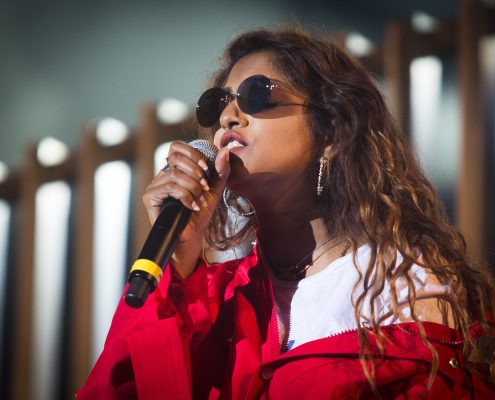 MIA &#8211; Festival des Vieilles Charrues 2017