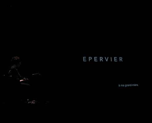 Epervier &#8211; Le Fil (Saint Etienne)