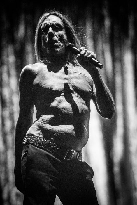 Iggy Pop &#8211; Festival des Vieilles Charrues 2019