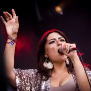 Namdose &#8211; Festival des Vieilles Charrues 2019