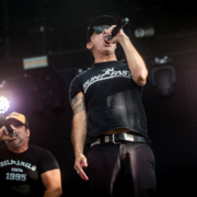 Joysad &#8211; Festival des Vieilles Charrues 2023